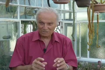 Sinemaseverler ona,o doğaya hayran