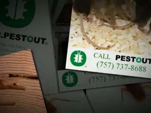 Exterminator Newport News VA Call (757) 737-8688