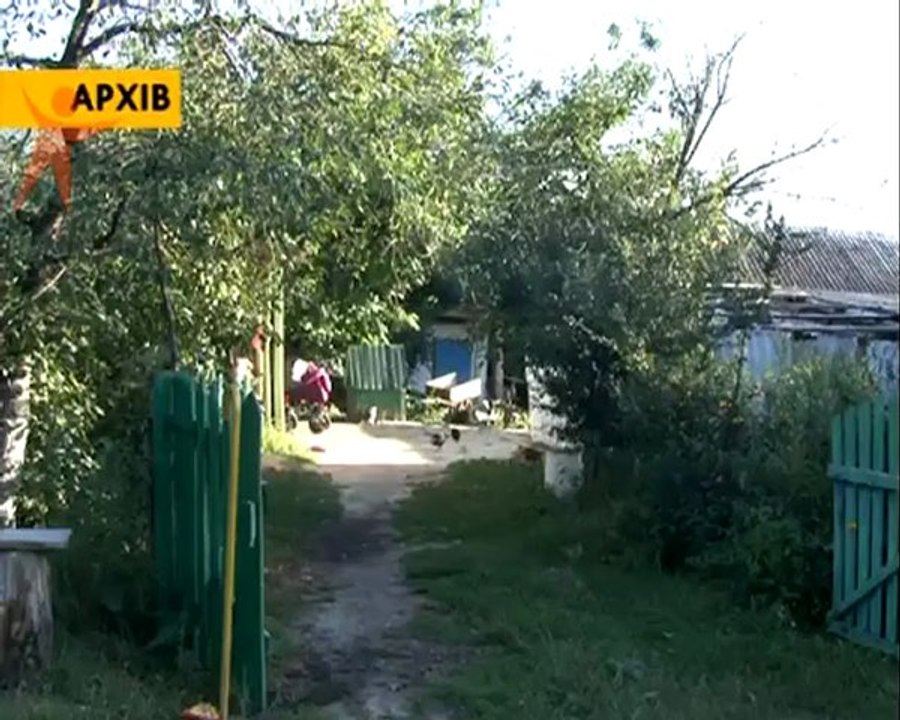 120820_Pidpal