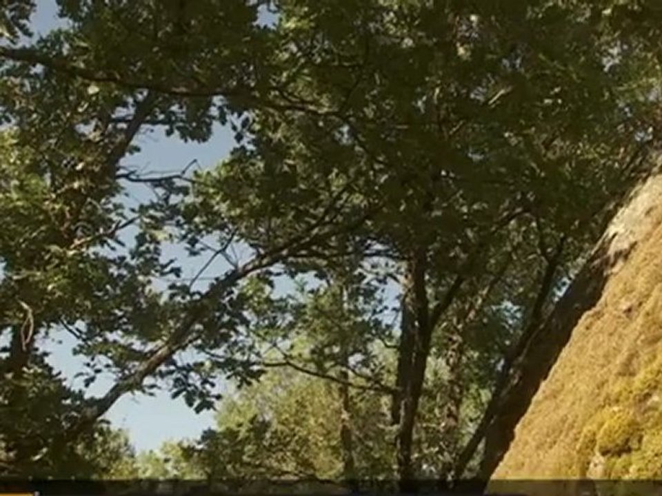 Se lo toman con humor.