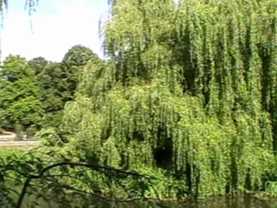 Koszalin-park sierpień 2012