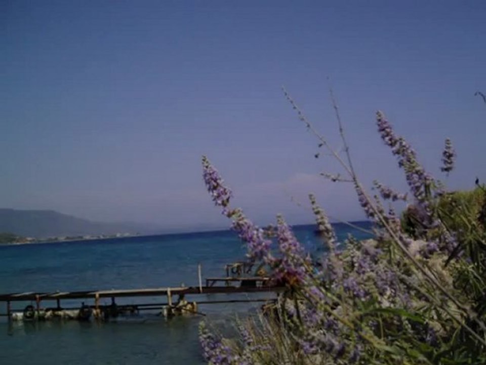 izmir- müsade özdemir