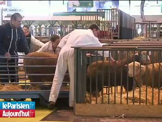 Dans les coulisses du salon de l'agriculture