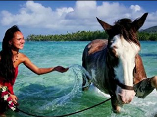 La Petite Ferme Huahine Promenades Cheval Polynesie