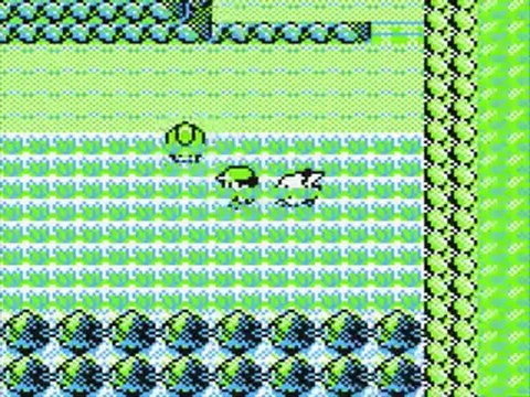 [GBC] Video-detente sur Pokemon Version pikachu (Jaune) 04