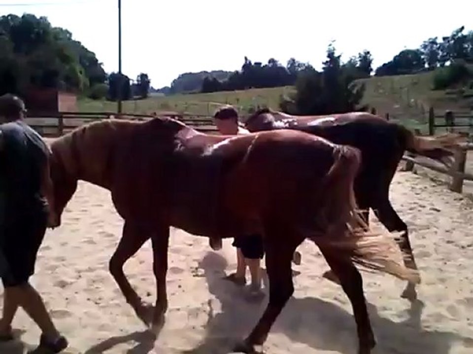 Papy et tess 19 08 2012