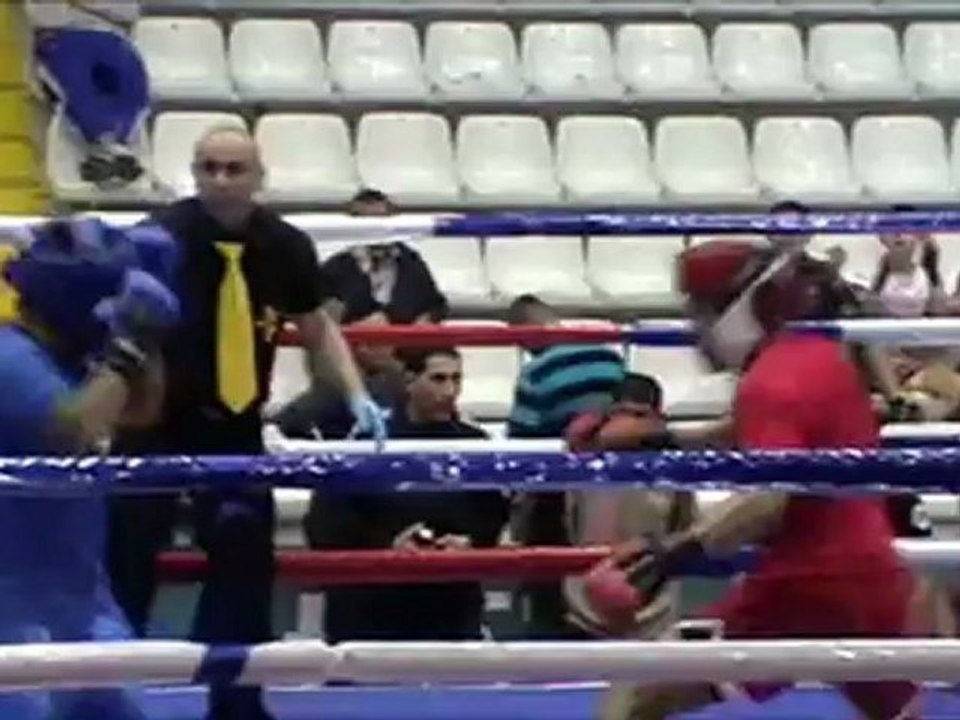 Hung Gar Kung-Fu Lyon / Vaulx-en-Velin