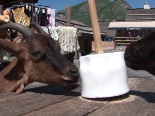 Les Lindarets, ou le village des chèvres