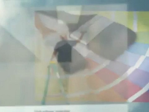 STL Painter - (314) 393-0175