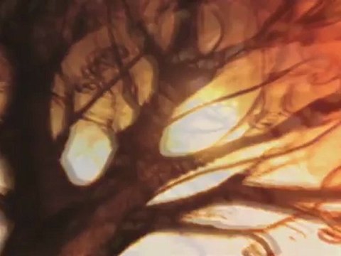 sakiro-emro (by renas miran)