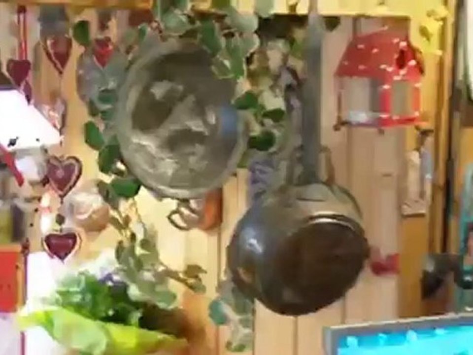 A houseboat in berlin | global 3000