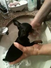 Eu no Primeiro Banho