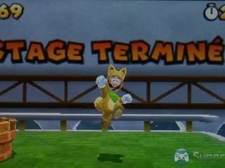 Super Mario Land 3D : Monde S6-4