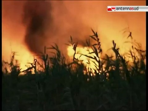 TG 20.08.12 Incendi, alla puglia la maglia nera