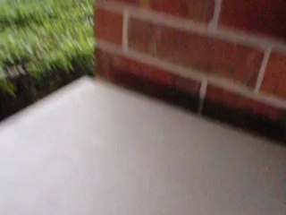 Got My Check From MCA