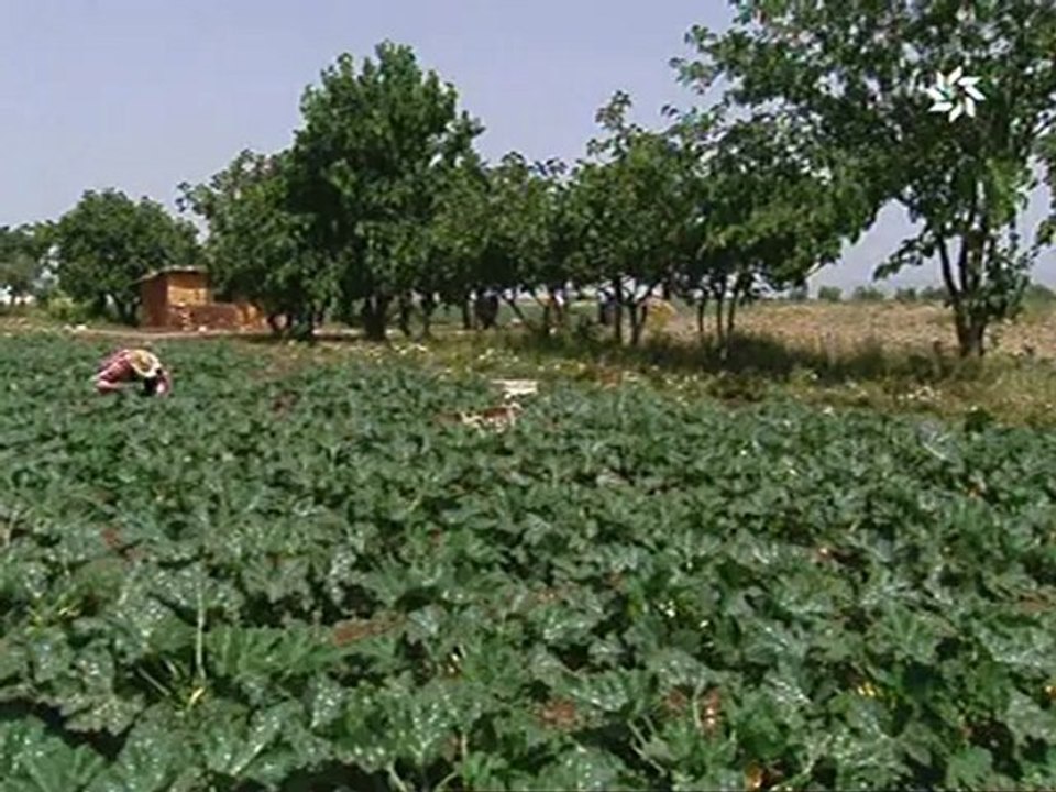 Extrait de "Wouja'e Trab" Ep17 avec Sous-titrage Français