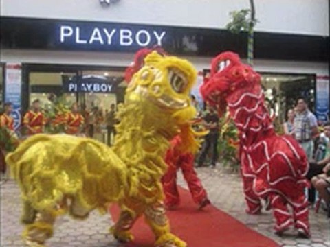 Dịch vụ cho thuê xiếc, xiếc khỉ , xiếc chó, ảo thuật LH 0912 254 006