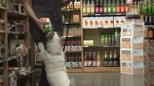 Маленький помощник по хозяйству