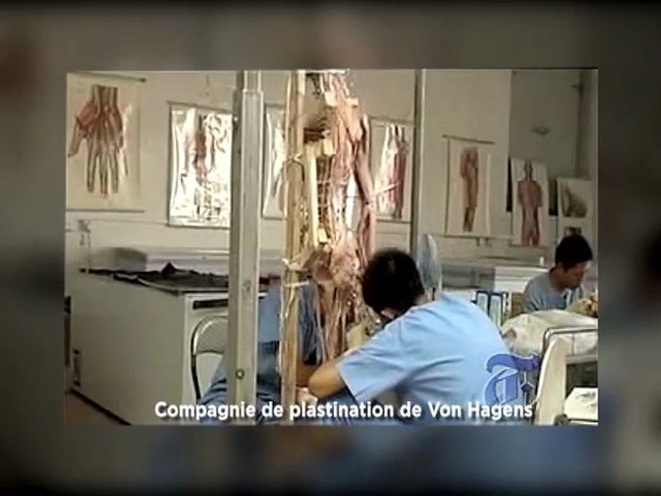 L’usine de plastination de cadavres de Dalian, un sujet chaud sur les micro blogs chinois !