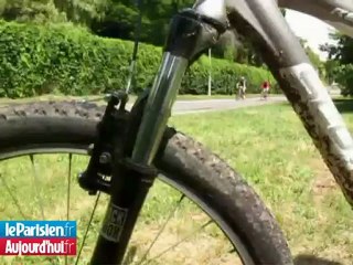 La forêt de Fontainebleau, royaume du VTT