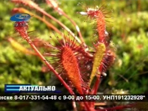 Актуально 20.08.2012