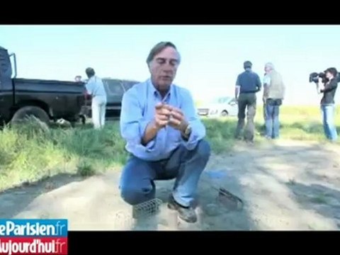 Bougrain-Dubourg vole au secours des ortolans