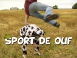 Sport de Ouf - Ah Bah Chapeau #10 - LanguedePub