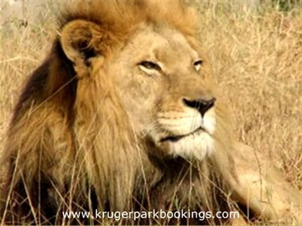 Marloth Park Lodging Accommodation (Part 6)