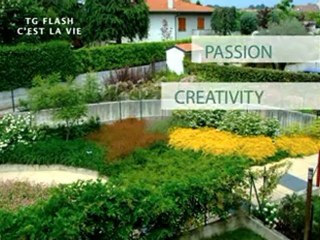 4a puntata TG FLASH C'EST LA VIE_xvid