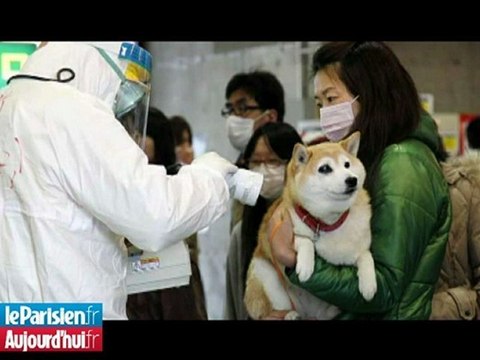 Des compteurs Geiger produits en France au secours des Japonais