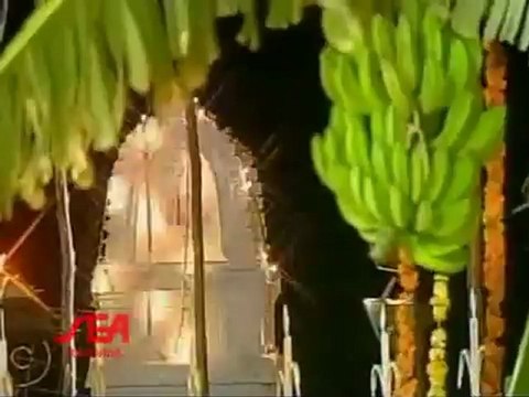 Sri Lakshmi Narasimha Suprabatham Stothras (Sanskrit Version)