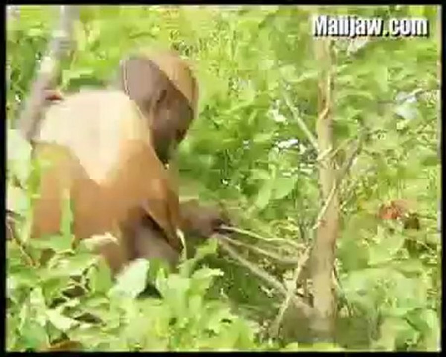 Histoire du Mali - N'Golo Diarra 04
