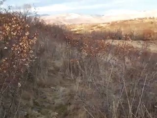 sesliözyurt SESLİPEPSİ icimsesli seslidamarci sesliozyurt.com