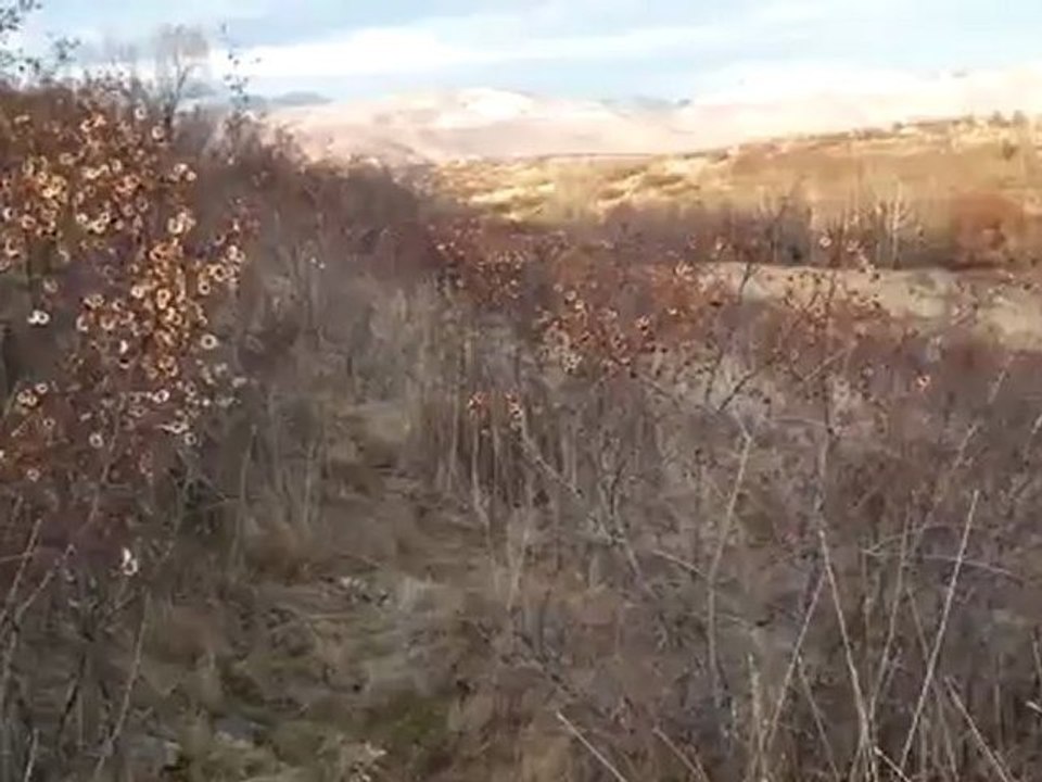 sesliözyurt SESLİPEPSİ icimsesli seslidamarci sesliozyurt.com