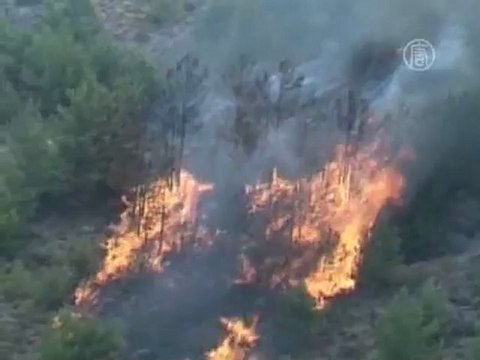 Пожар уничтожает уникальное растение Хиоса