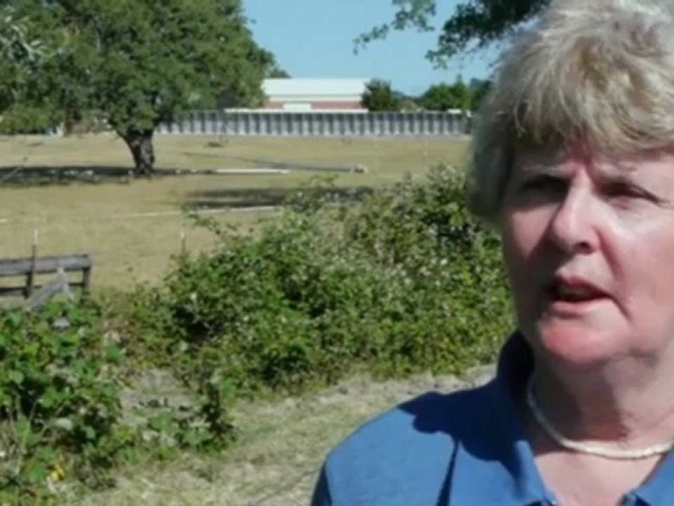 Why in the world are they spraying ? - 2/2