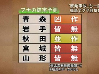 20120821原発事故も一因か。福島でクマ目撃数急増