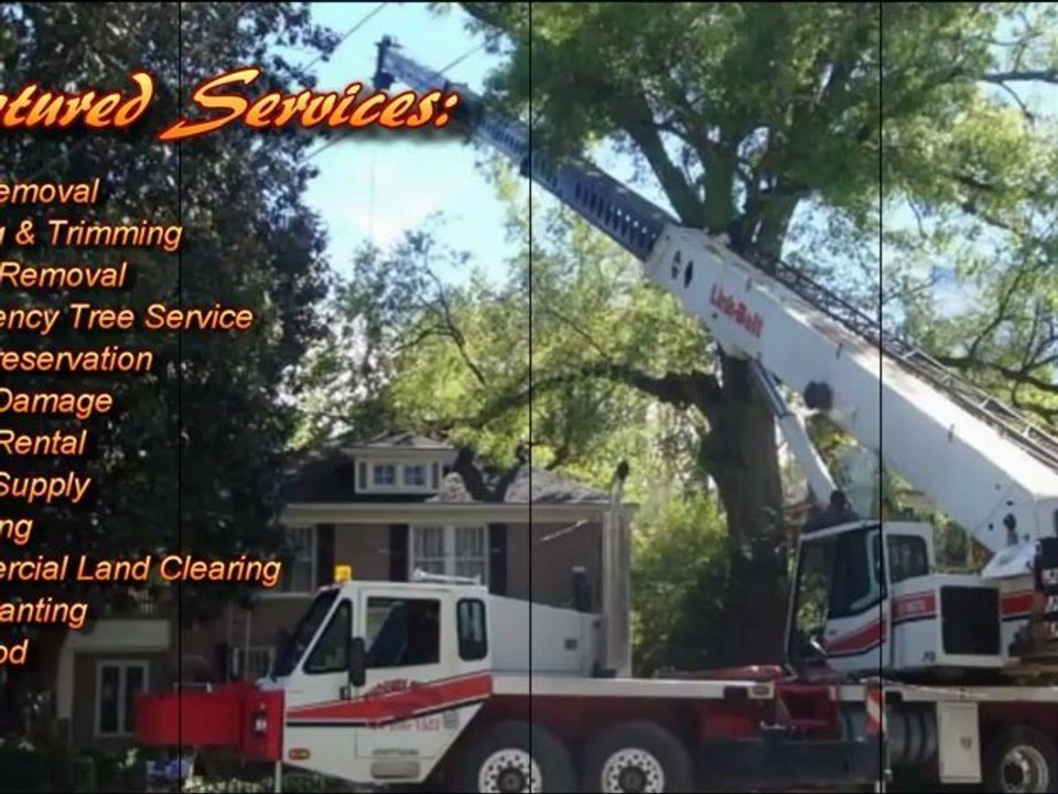 Redfern Tree Service Video