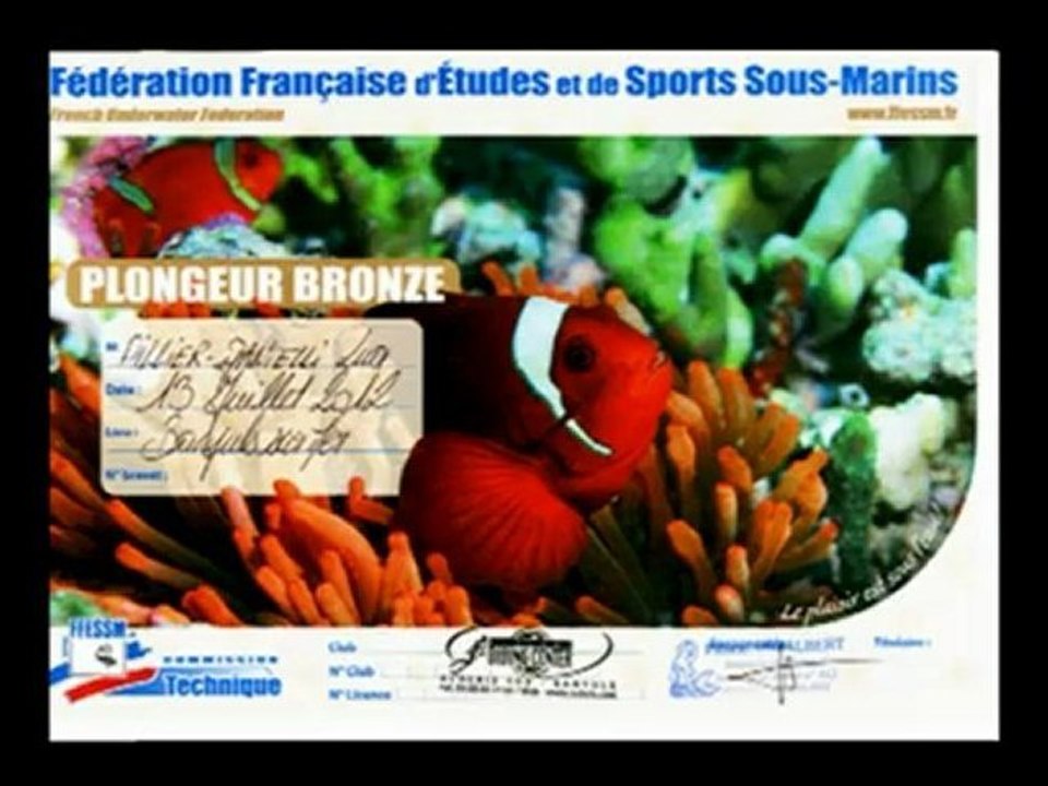 LUA PLONGEUR DE BRONZE  5'