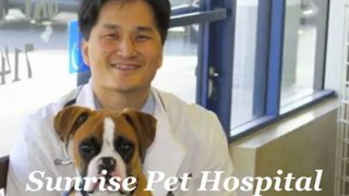 Sunrise Pet Hospital 714-283-0227 Anaheim CA Veterinarian Pet Care Animal Hospital