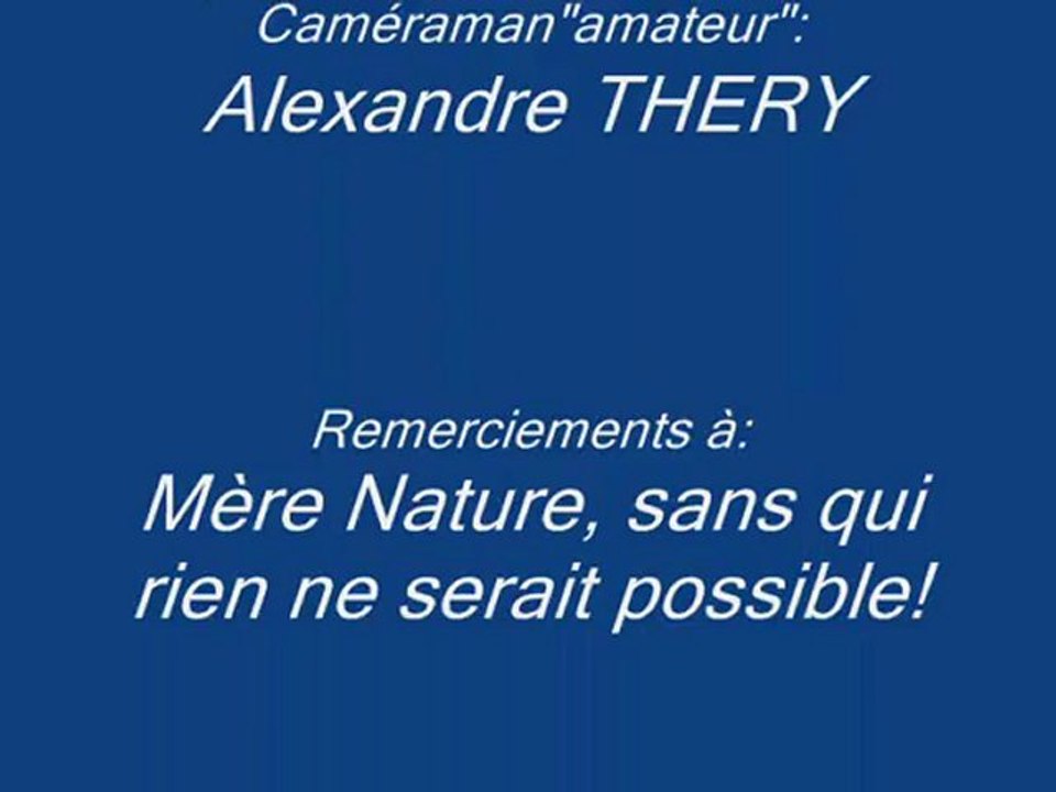 cedric bluffy