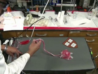 Tarn-Roboter als Krieger der Zukunft?