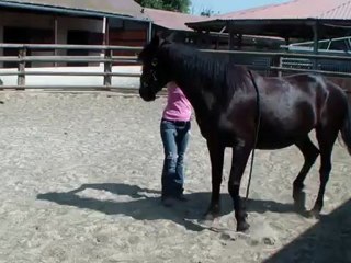 progression jambette Tango 08.2012. .3