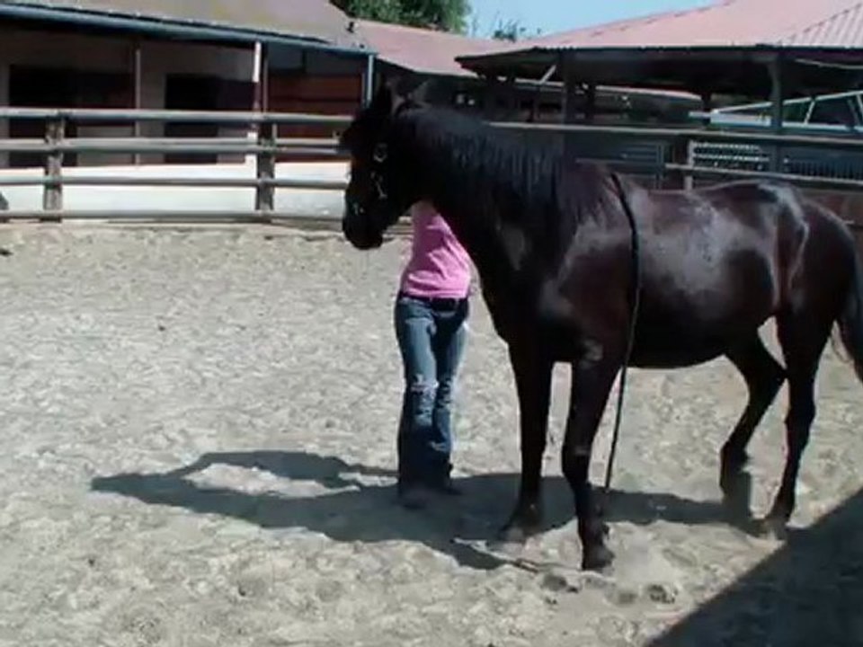 progression jambette Tango 08.2012. .3