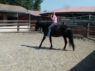 progression jambette Tango 08.2012. 06