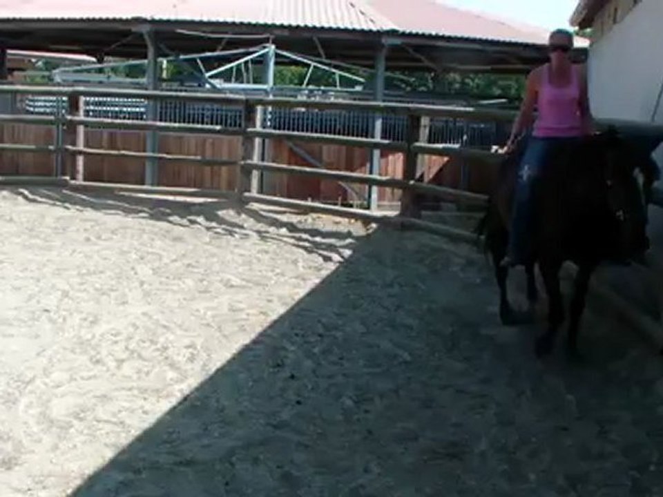 1er trot a cru Tango 08.2012.01