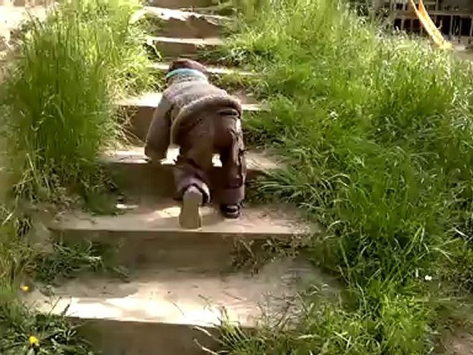Le toboggan, une histoire d'amour...
