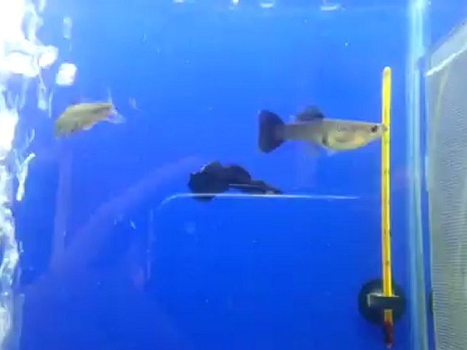 20120817_121513