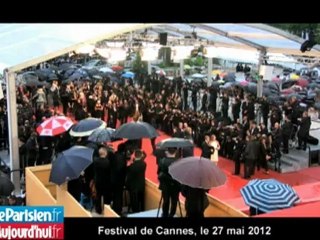 Michael Haneke : la Palme du romantisme