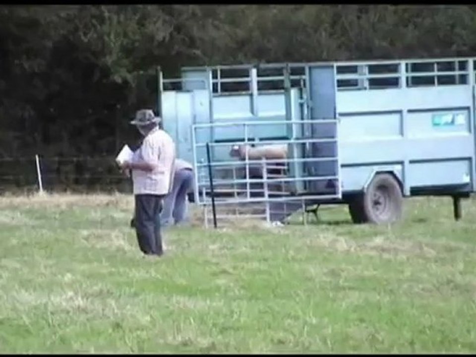 Concours Troupeau ChatMeillan 2012-3